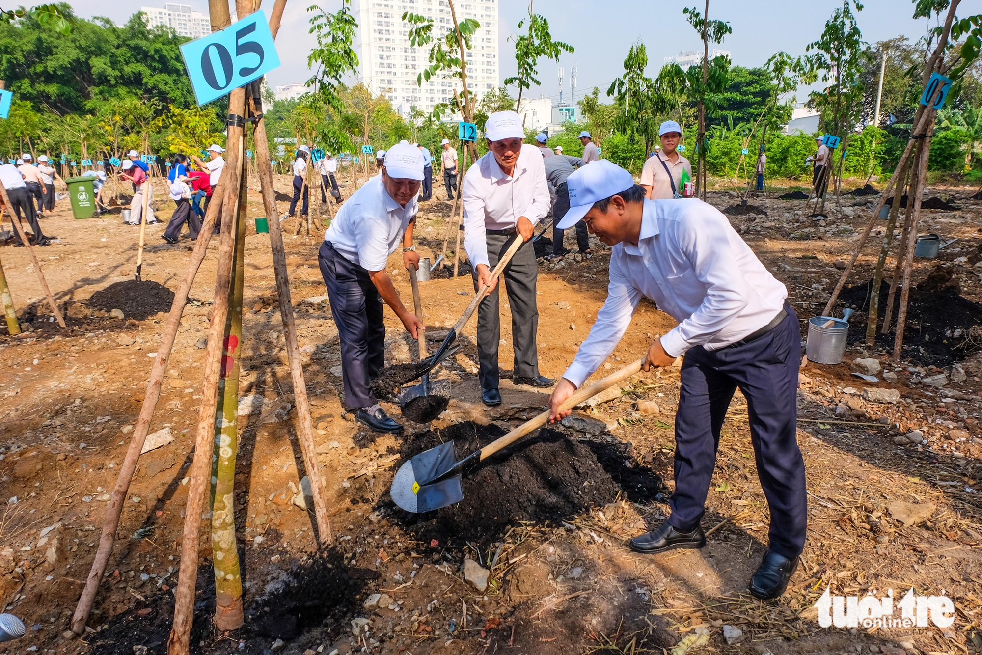 cây xanh - Ảnh 1.
