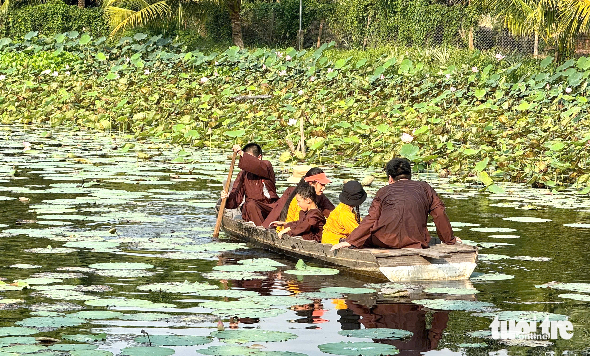 học kỳ nông nghiệp - Ảnh 3.