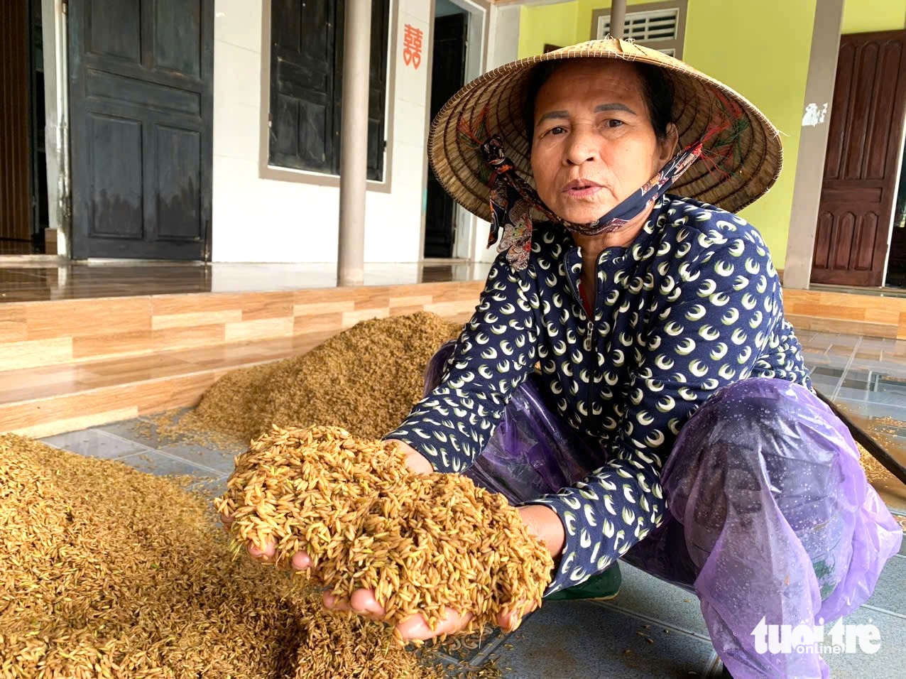 Cả vụ mùa bị trận lũ quá bất thường cuốn trôi trong đêm - Ảnh 2.