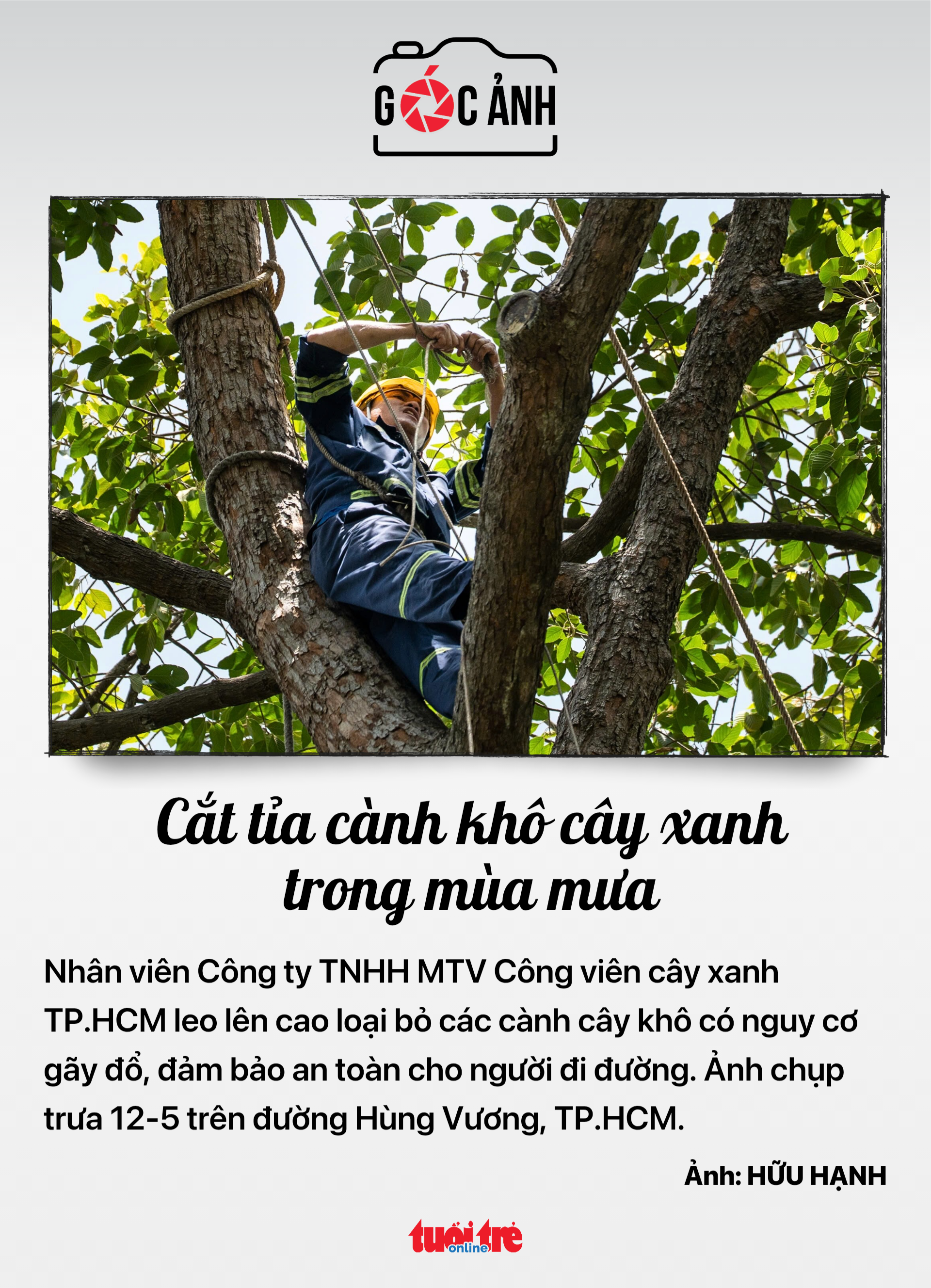 tin tức - Ảnh 6.
