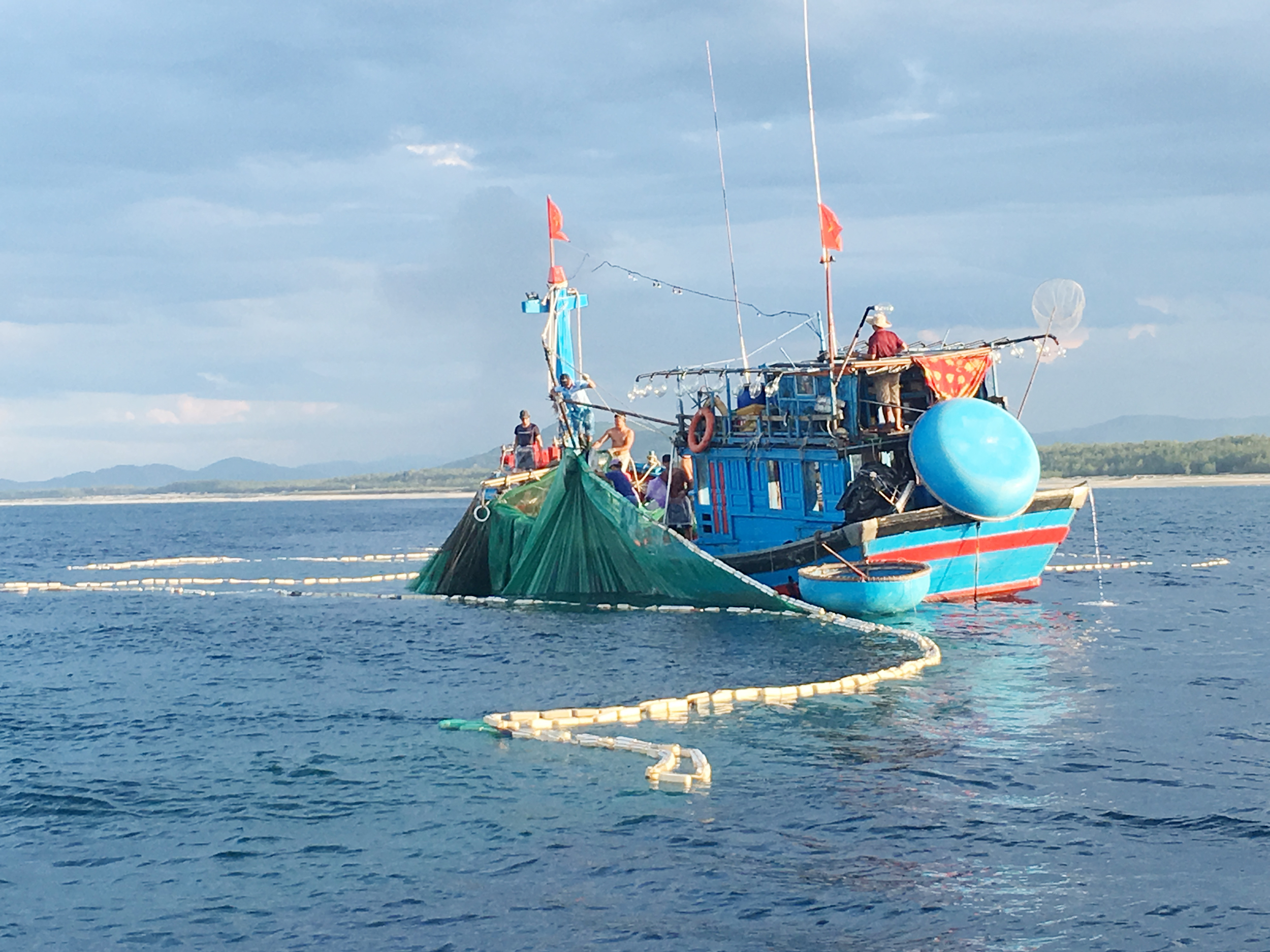 Món ngon Quảng Ngãi: Mực xào Mỹ Á - Ảnh 1.