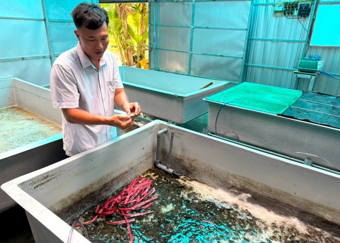 Anh Nguyễn Việt Bắc trong khu nuôi cua mít. Ảnh: An Minh