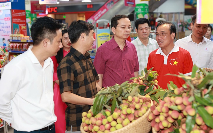 Du khách thích thú đến Phú Yên check in, ăn vải tại vườn - Ảnh 6.